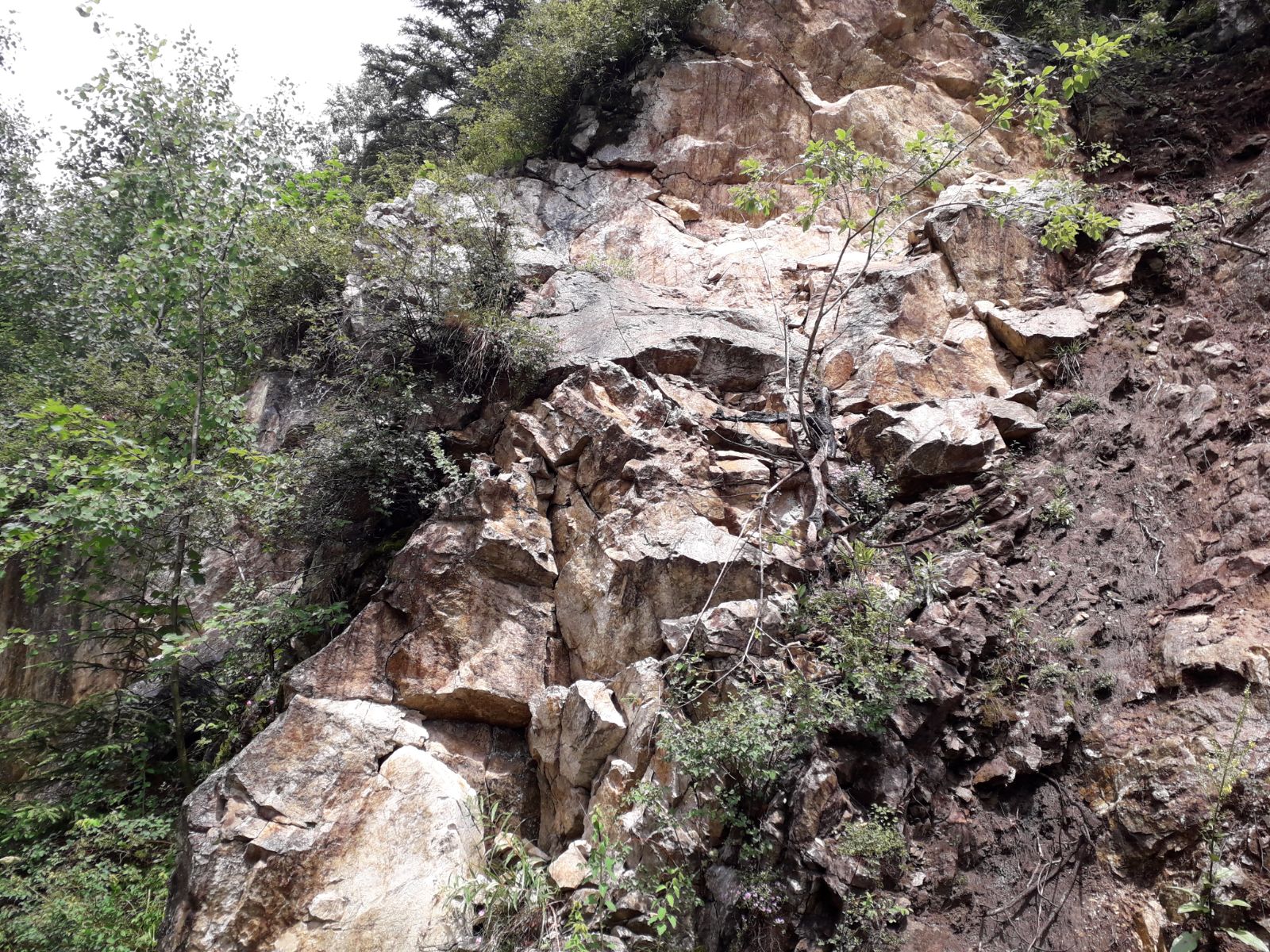 Azi despre ieri – 20 octombrie 2018