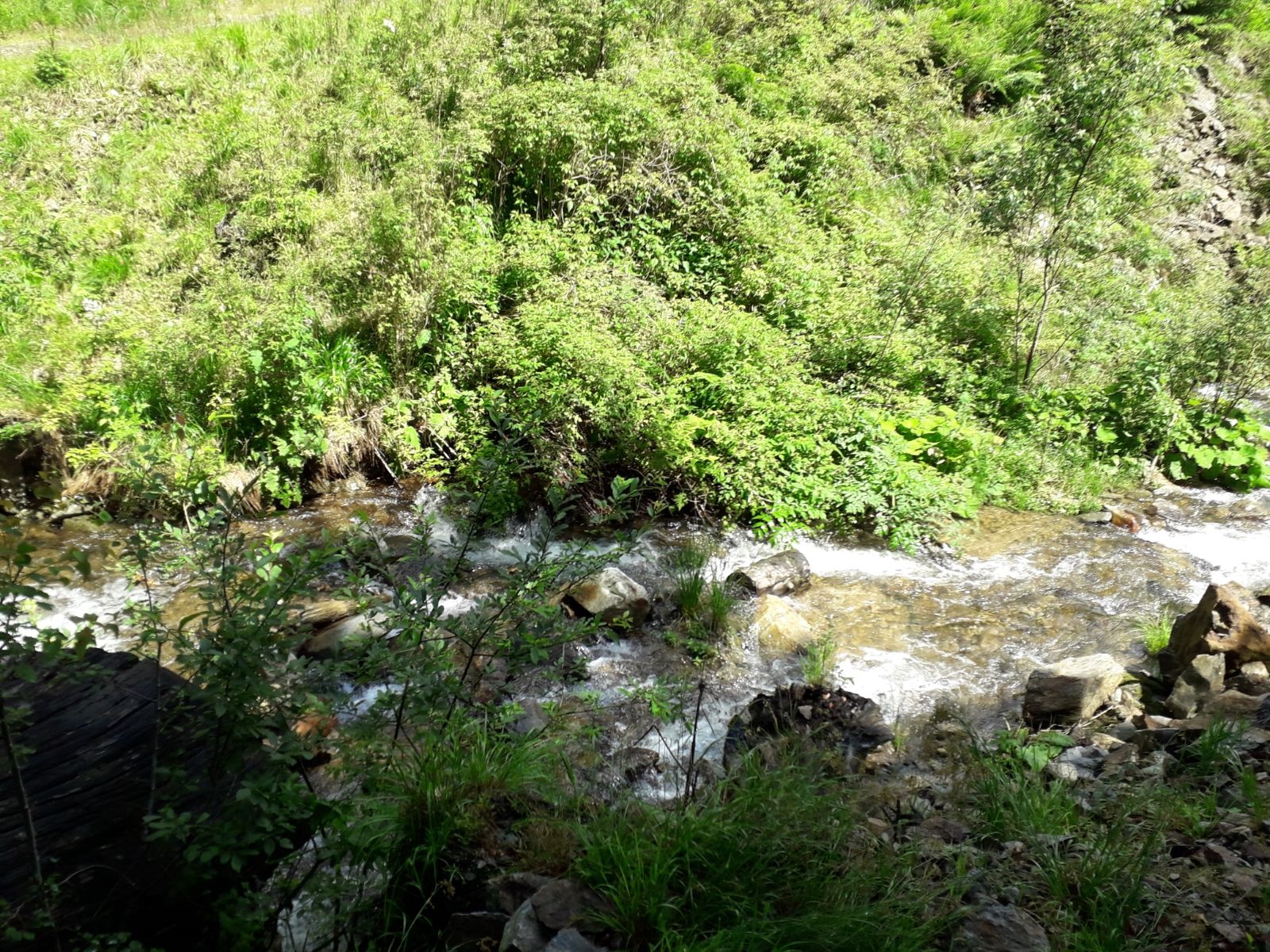 Azi despre ieri – 11 septembrie 2018