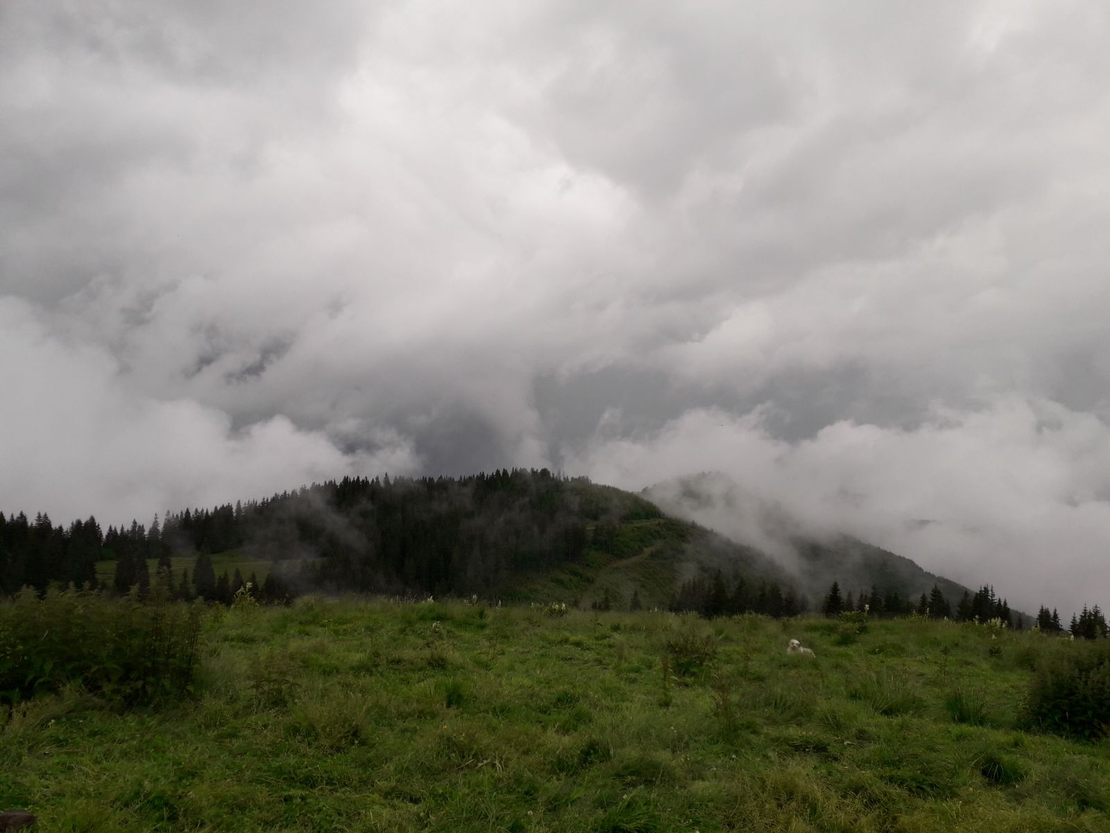 Azi despre ieri – 7 septembrie 2018