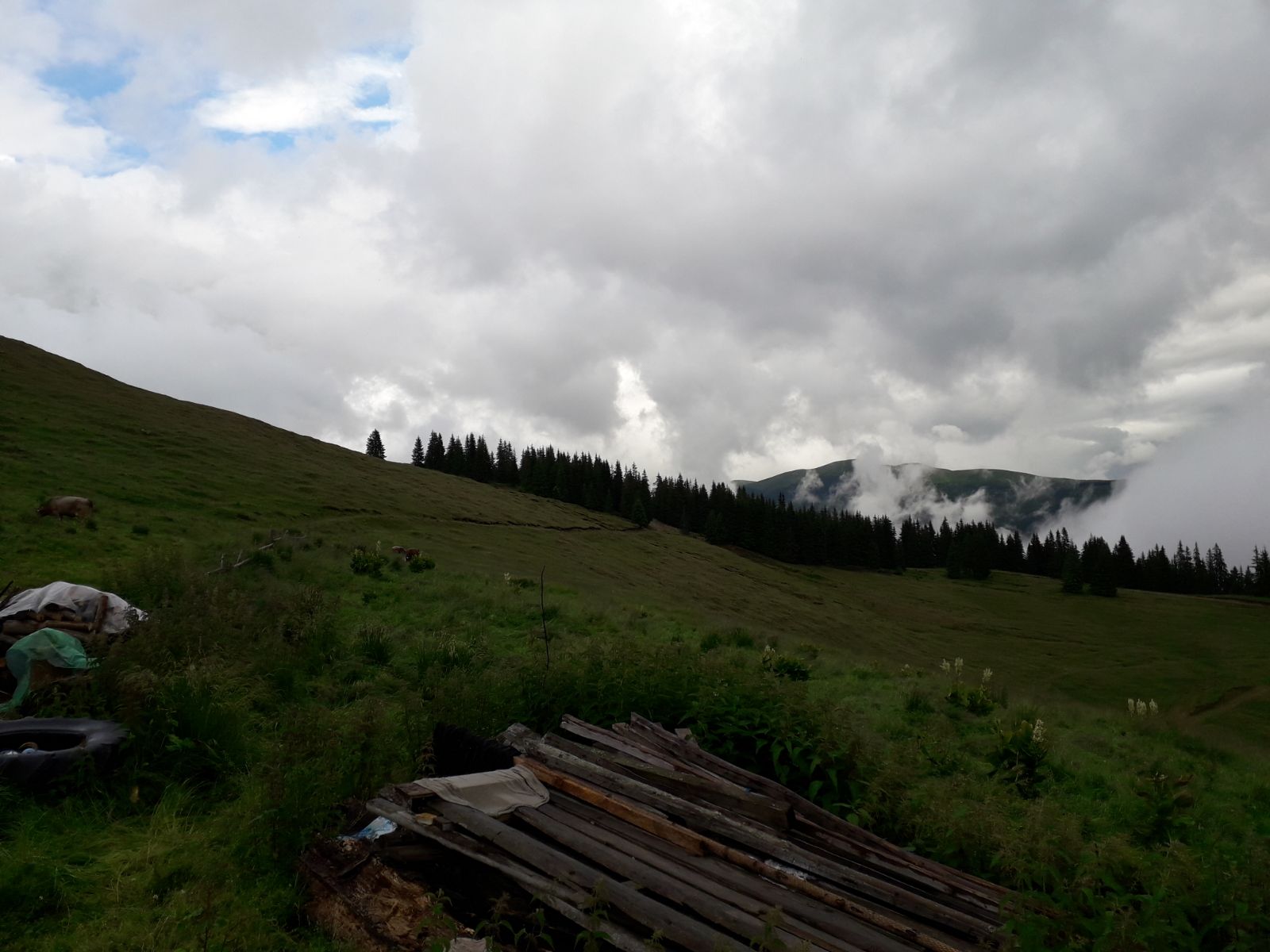 Azi despre ieri – 31 august 2018