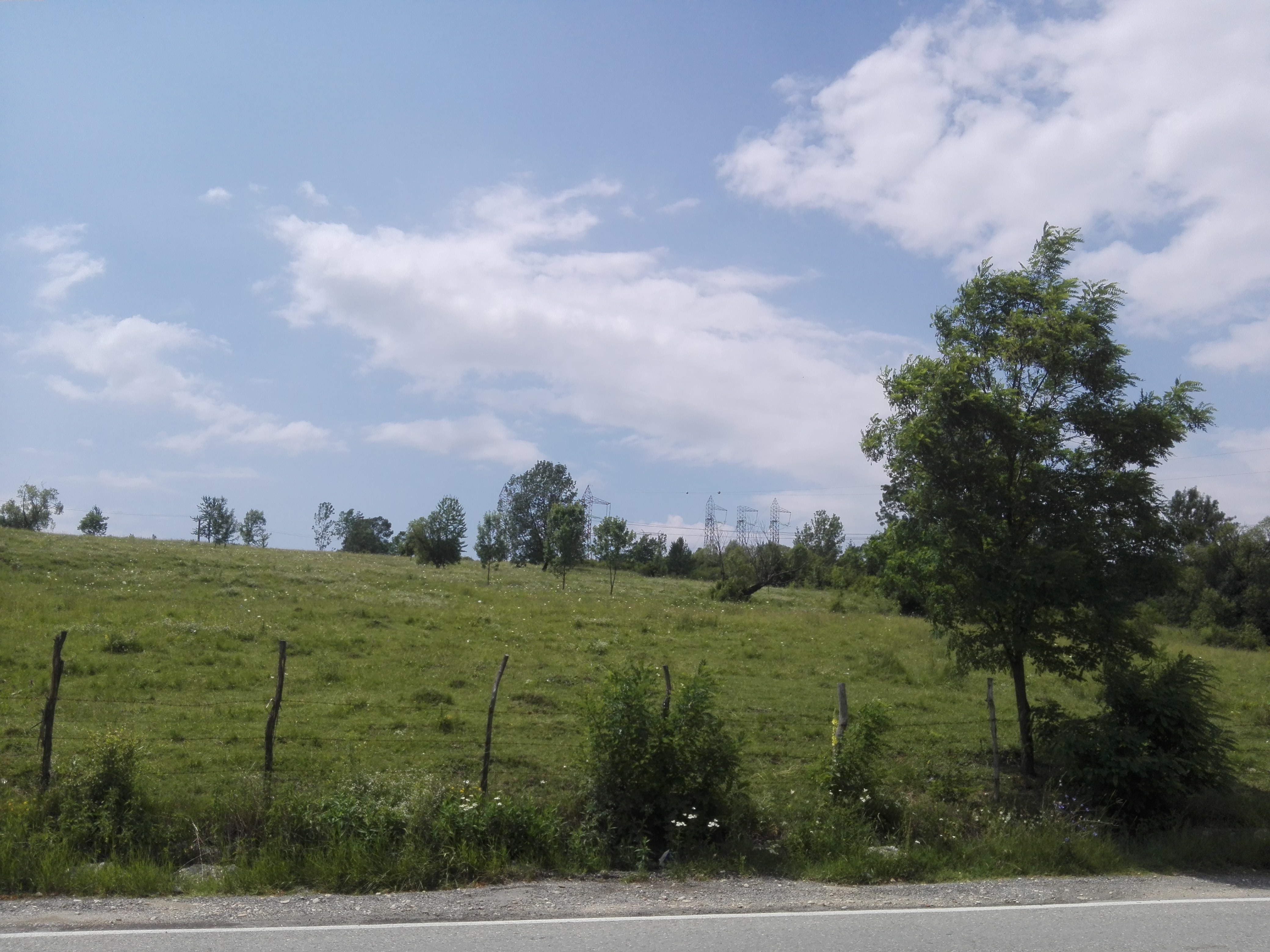 Azi despre ieri – 29 octombrie 2018