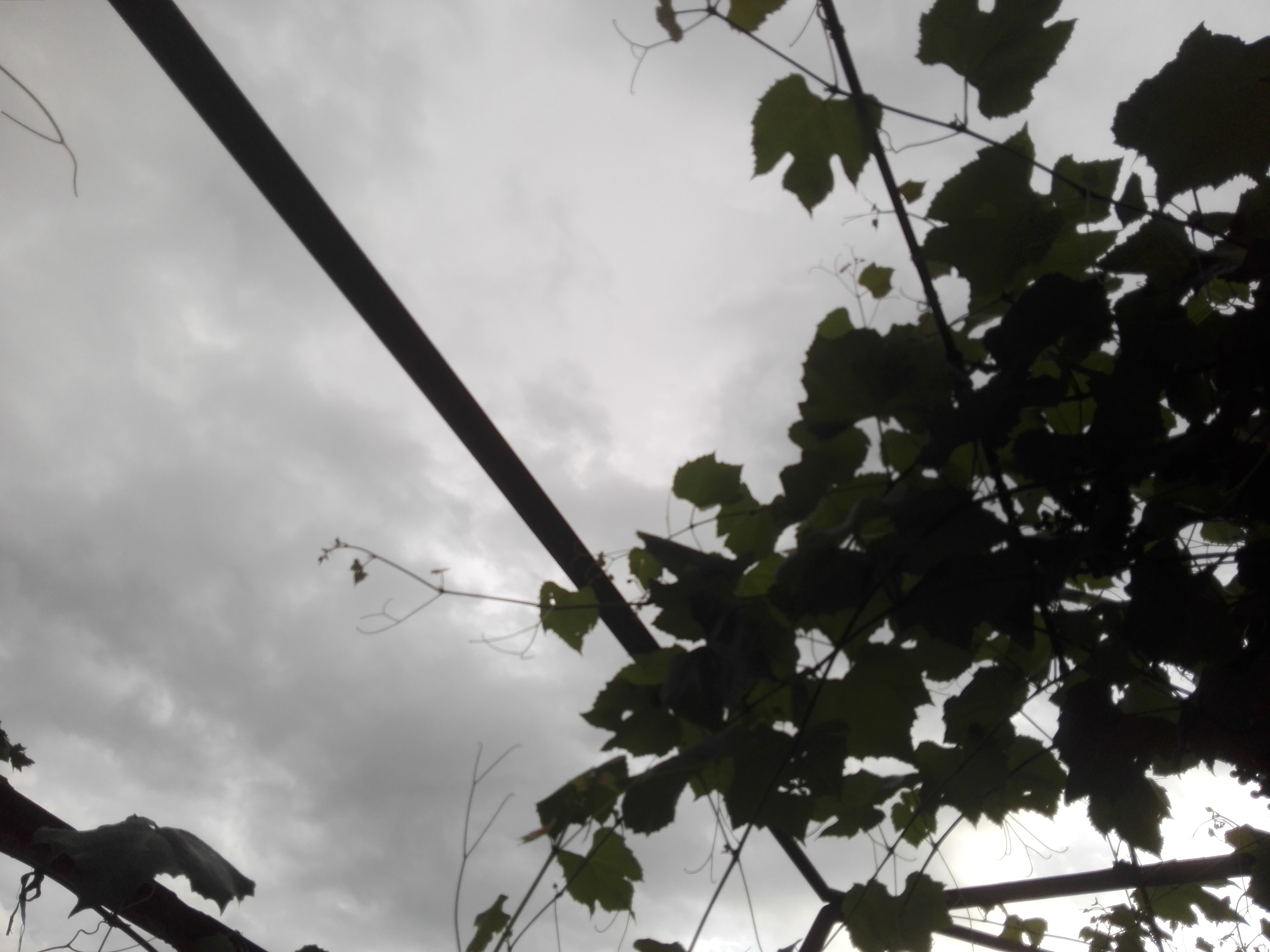 Azi despre ieri – 19 octombrie 2018