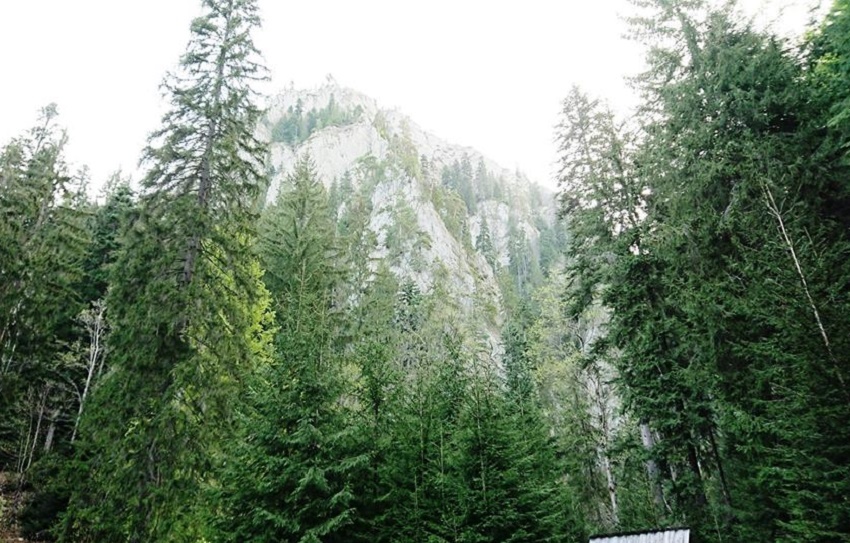 Azi despre ieri – 14 septembrie 2018