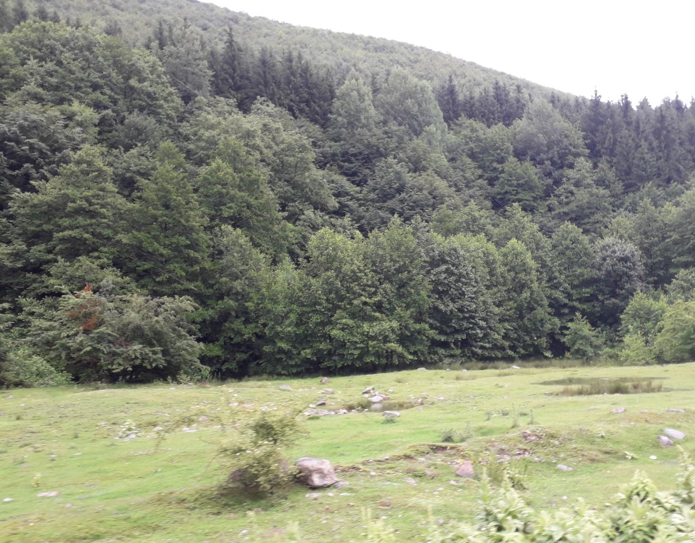 Azi despre ieri – 28 august 2018