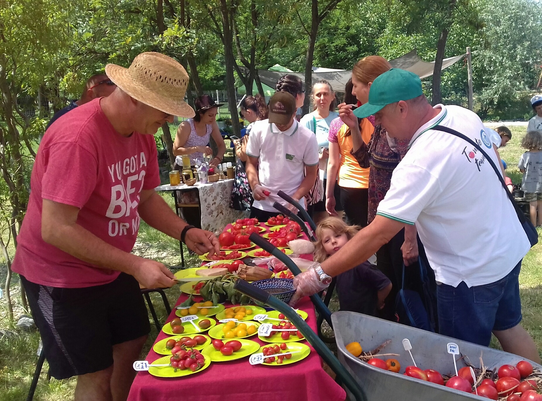Festivalul Internațional al Tomatelor