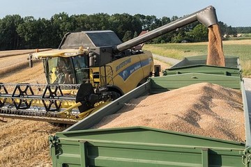 România a obținut, pentru prima dată, peste 10,2 milioane de tone de grâu