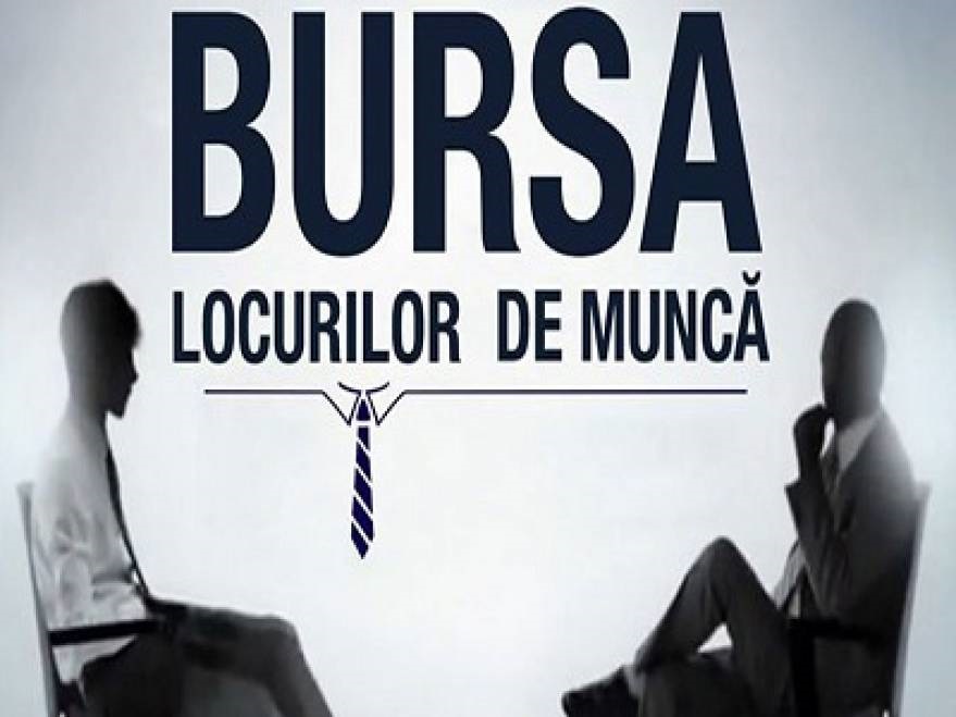 Bursa locurilor de muncă pentru absolvenţi