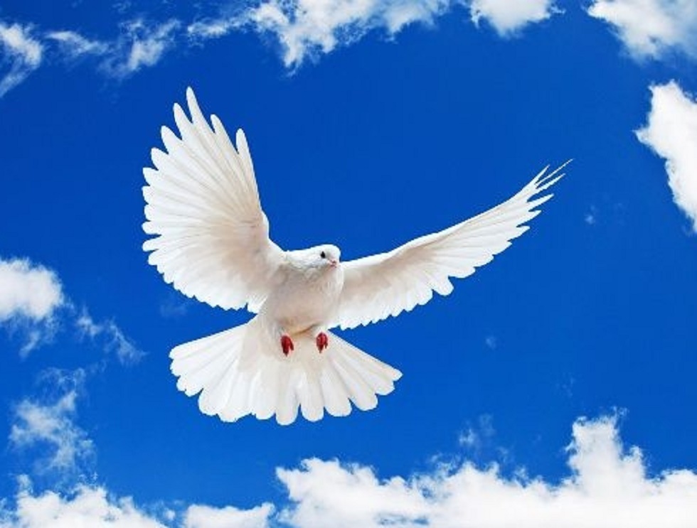 Ziua Internațională a Păcii