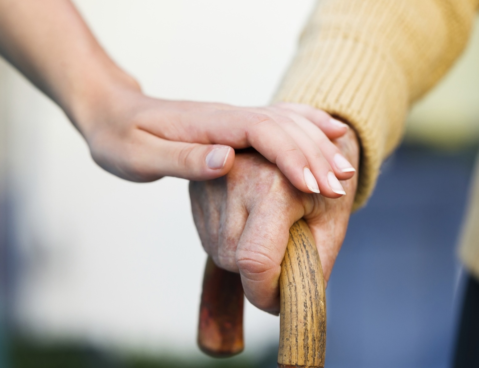 Manifestări de Ziua Internațională a Persoanelor Vârstnice, la Craiova