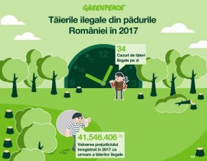 34 de cazuri de tăieri ilegale în fiecare zi în pădurile României