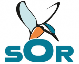 Specie nouă de gărgăriță în fauna României –