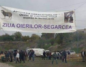 Expoziție de oi și capre la Segarcea