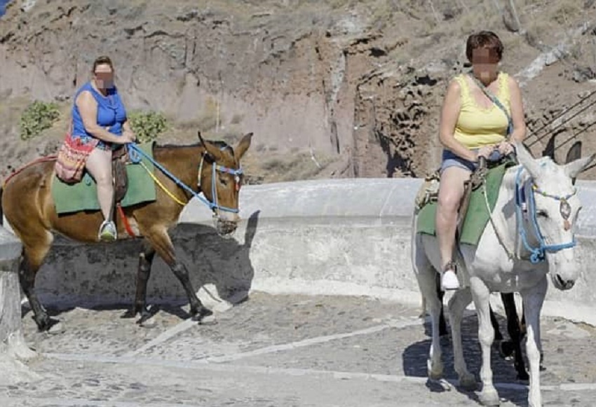 Turiștii supraponderali nu mai au voie să se suie pe măgari în Grecia