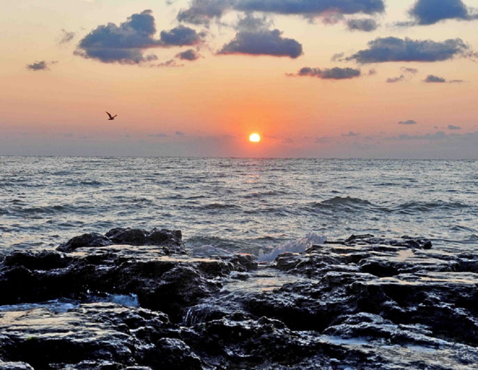 Ziua Internațională a Mării Negre