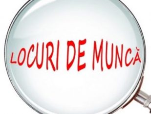 Cine refuză un loc muncă pierde ajutorul social