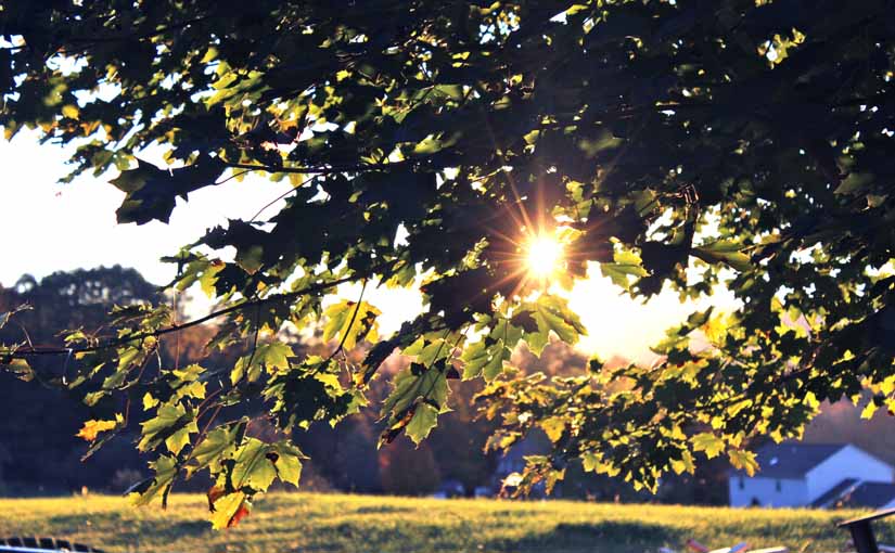 Prognoza meteo 5/6 octombrie (audio)