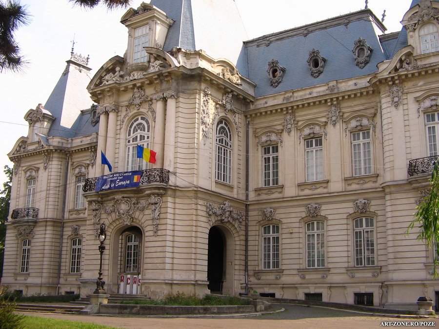 Muzeul de Artă din Craiova în parteneriat cu Universitatea Națională de Arte București organizează o nouă conferință dedicată artei