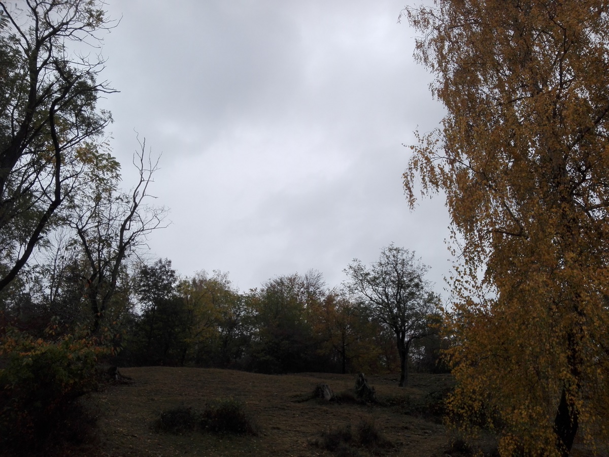 Azi despre ieri – 27 noiembrie 2018