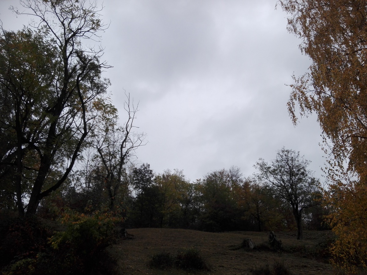 Vreme deosebit de rece, ninsori și intensificări ale vântului, precipitații slabe mixte