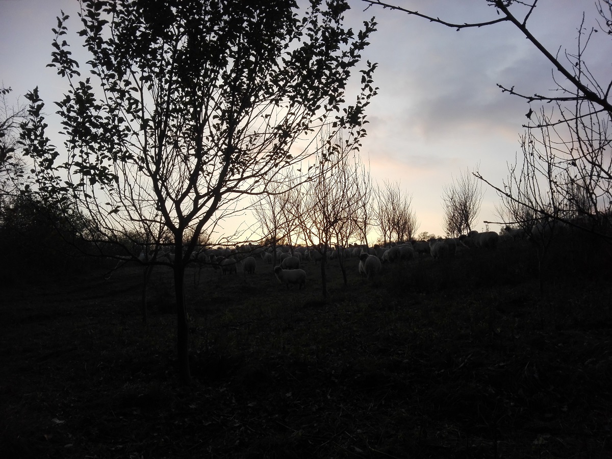 Vremea, 23/24  noiembrie, în Oltenia (audio)