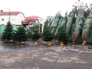 Prețuri de decembrie în Piața Centrală din Craiova