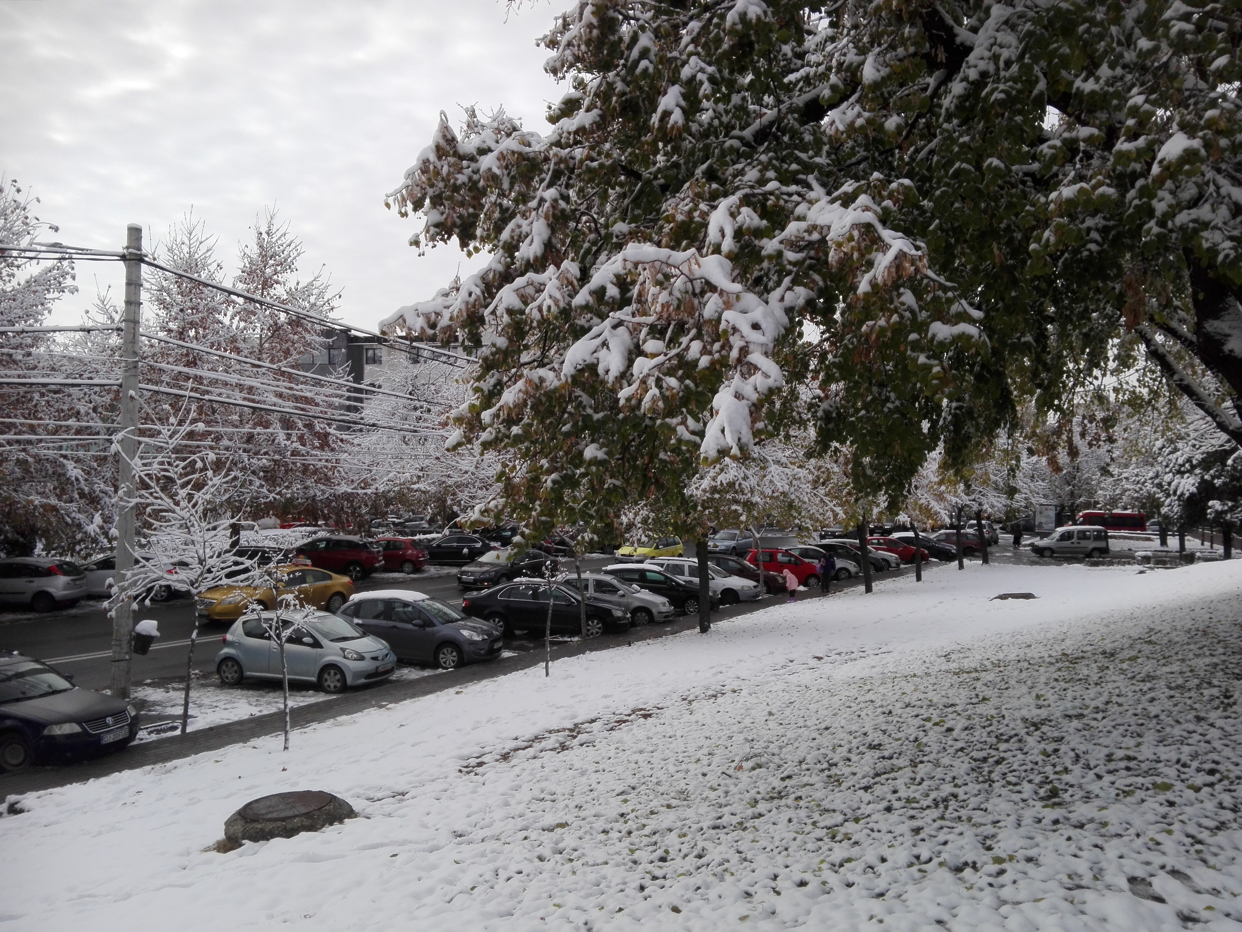 Azi despre ieri – 18 decembrie 2018