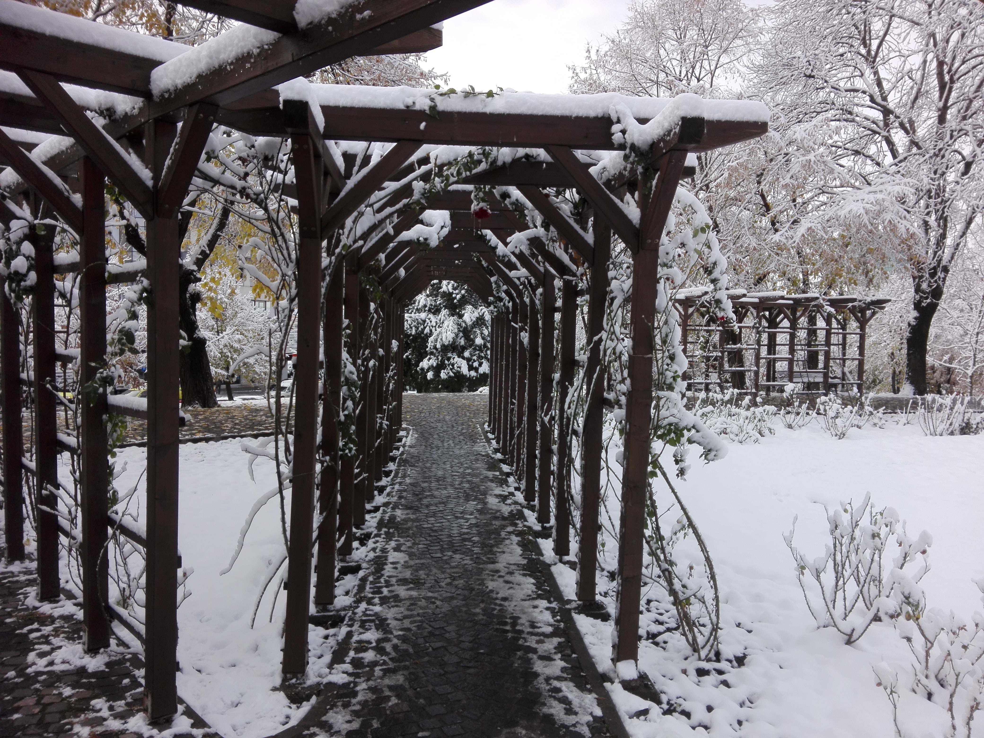 Azi despre ieri – 12 decembrie 2018