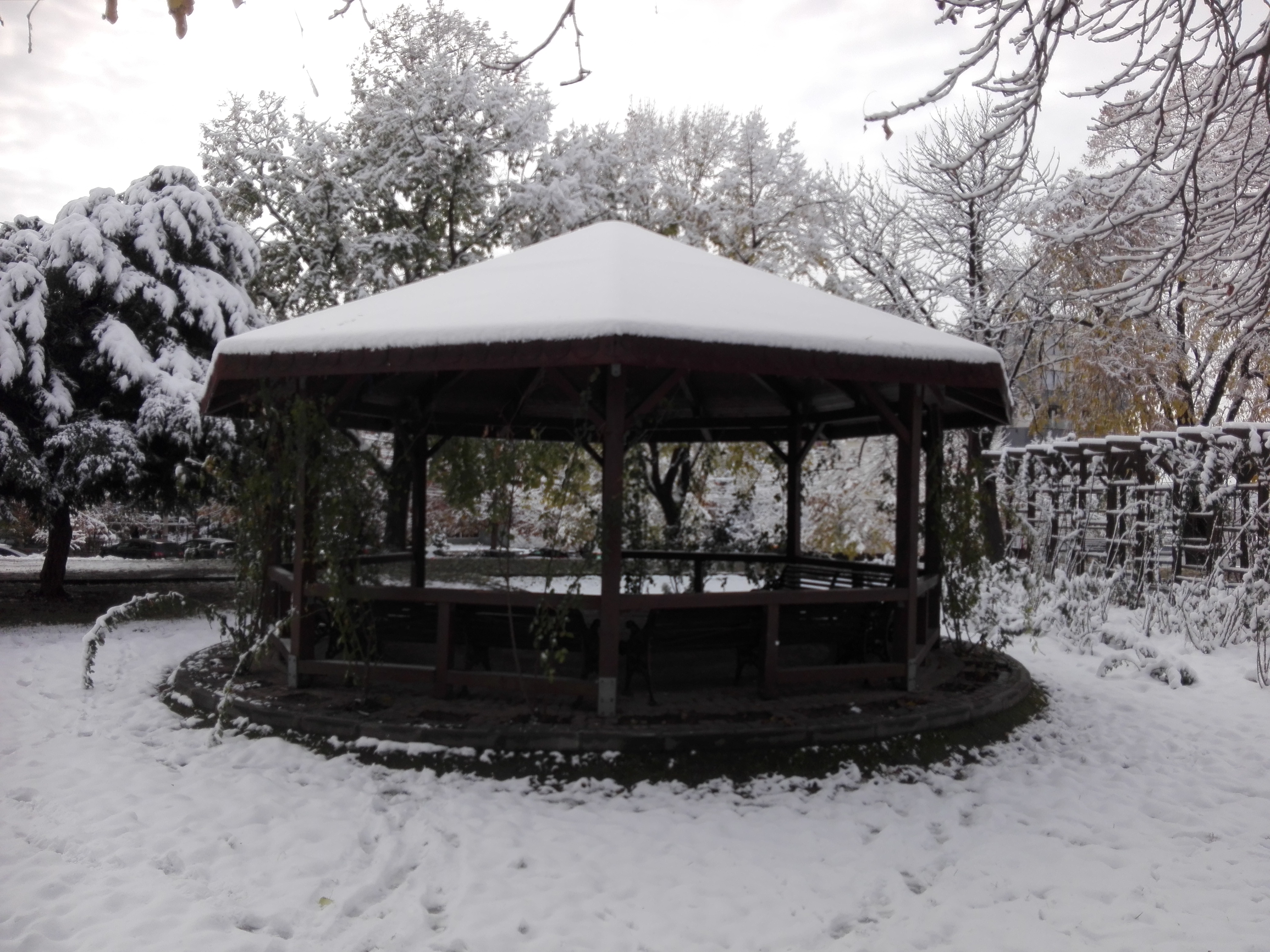 Azi despre ieri – 5 decembrie 2018