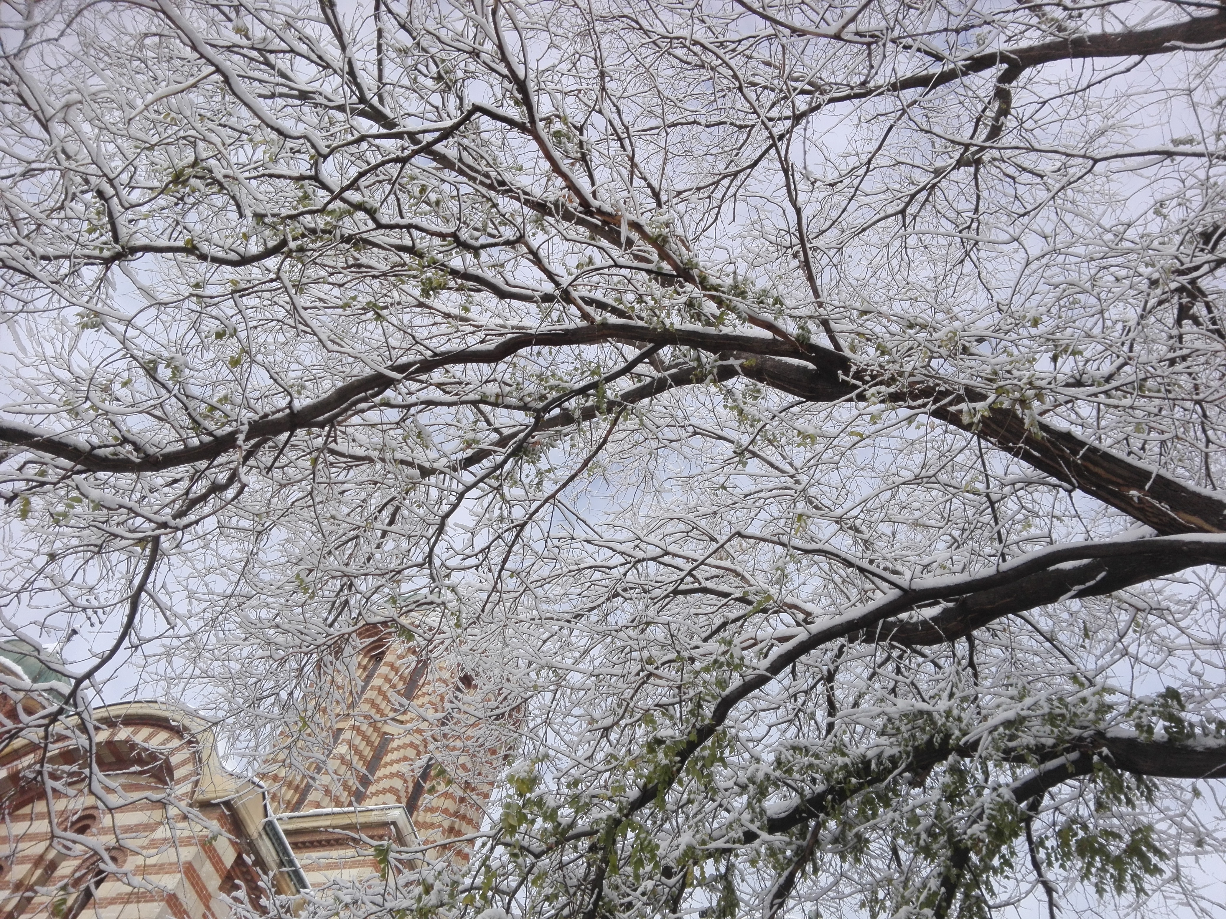 Azi despre ieri – 24 decembrie 2018