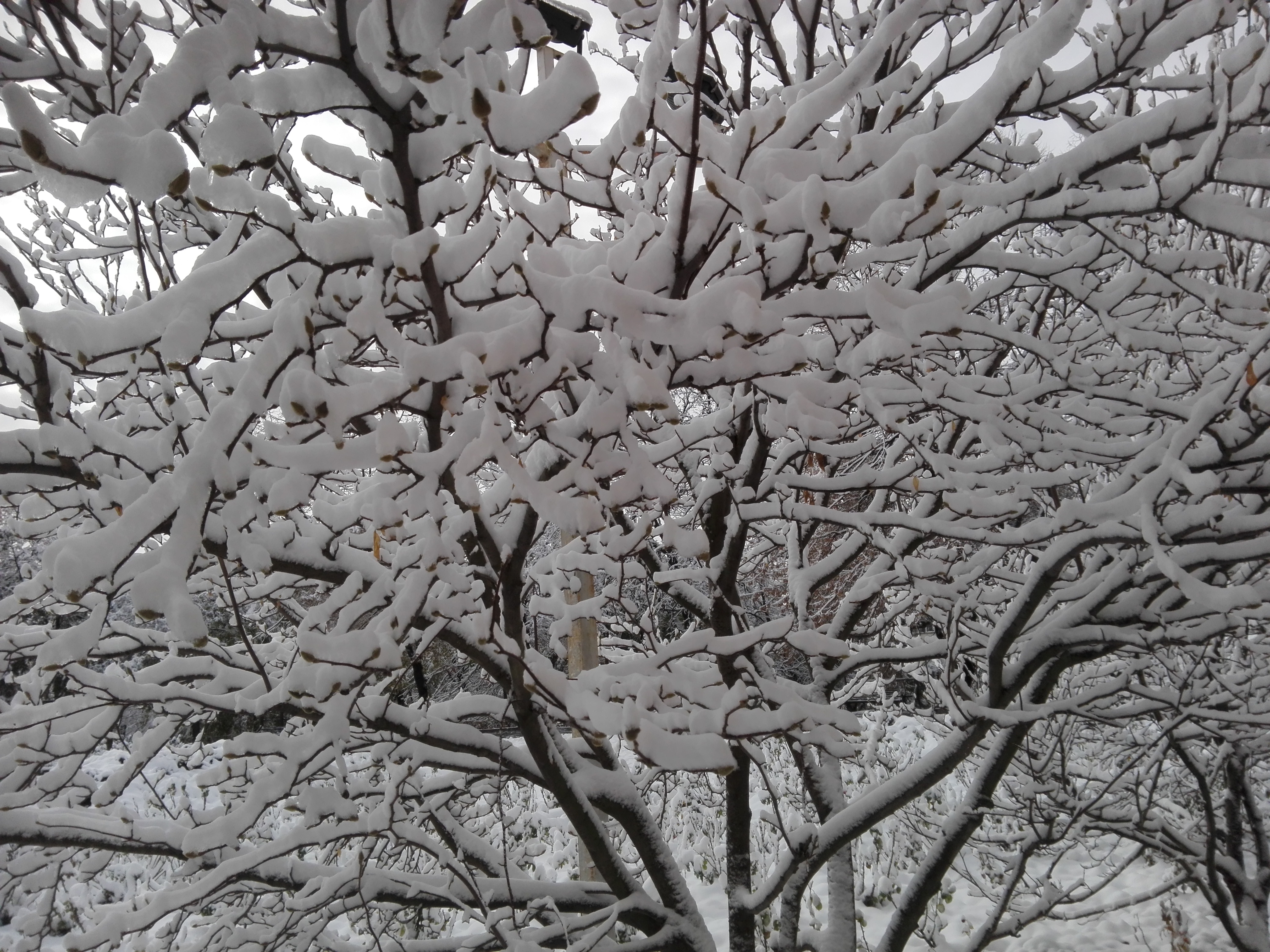 Azi despre ieri – 17 decembrie 2018