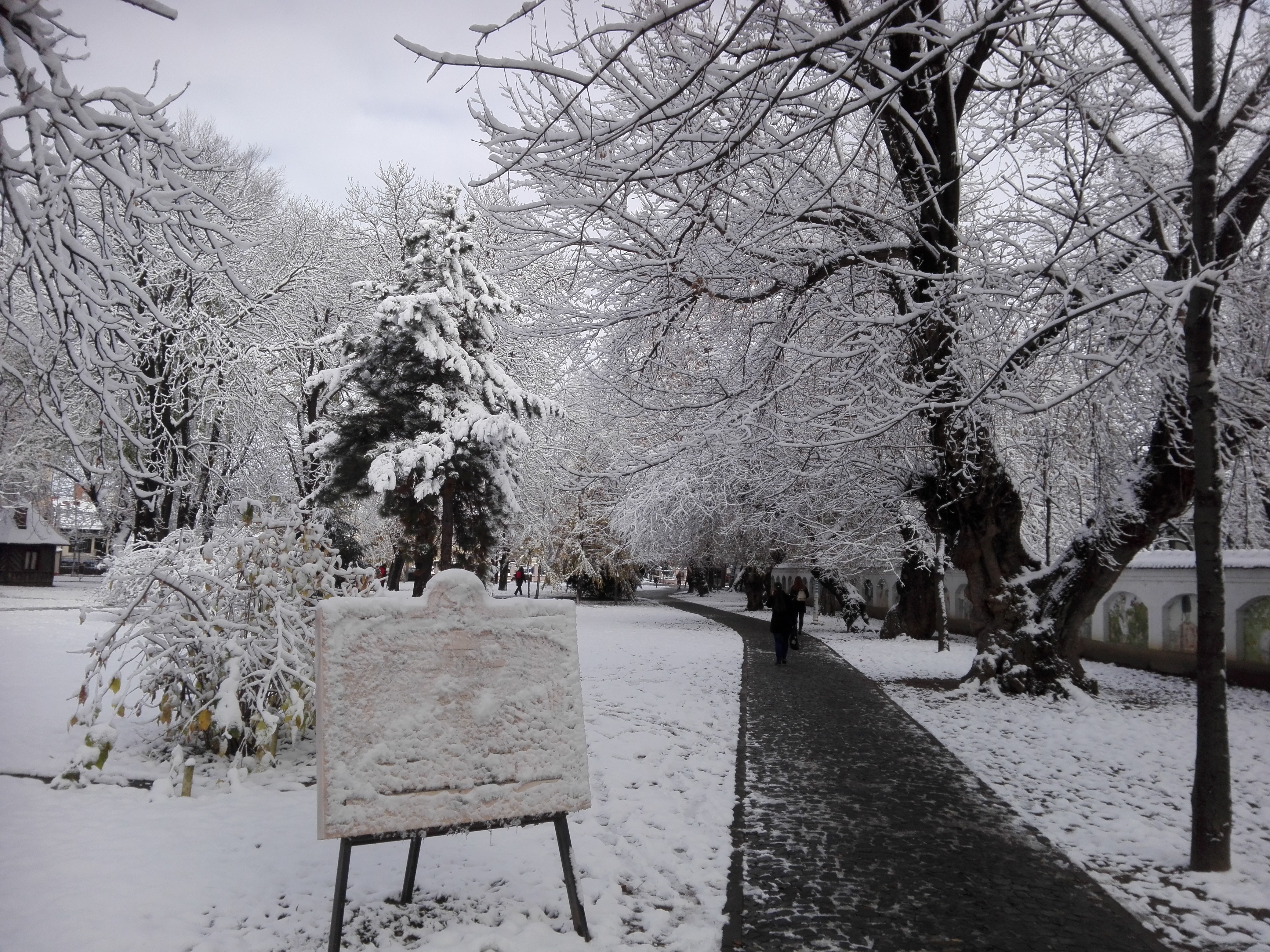 Azi despre ieri – 19 decembrie 2018