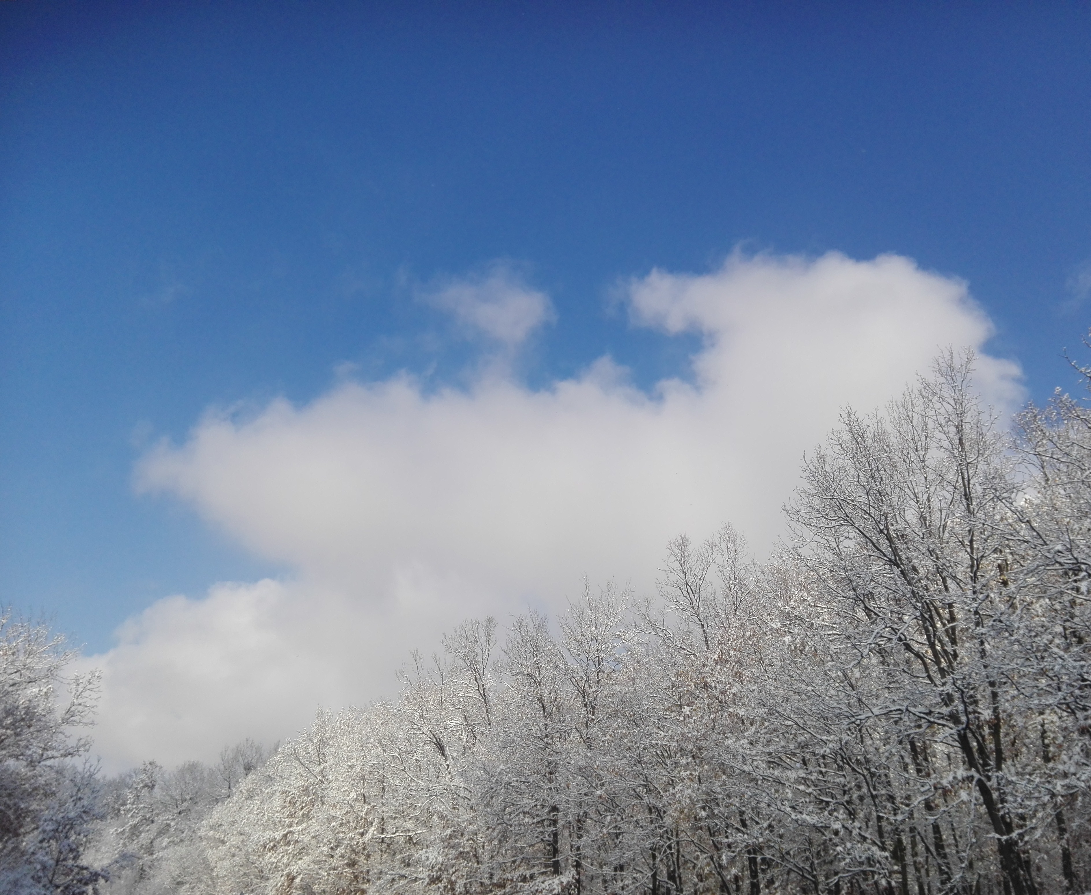 Vremea de Revelion în Oltenia 
