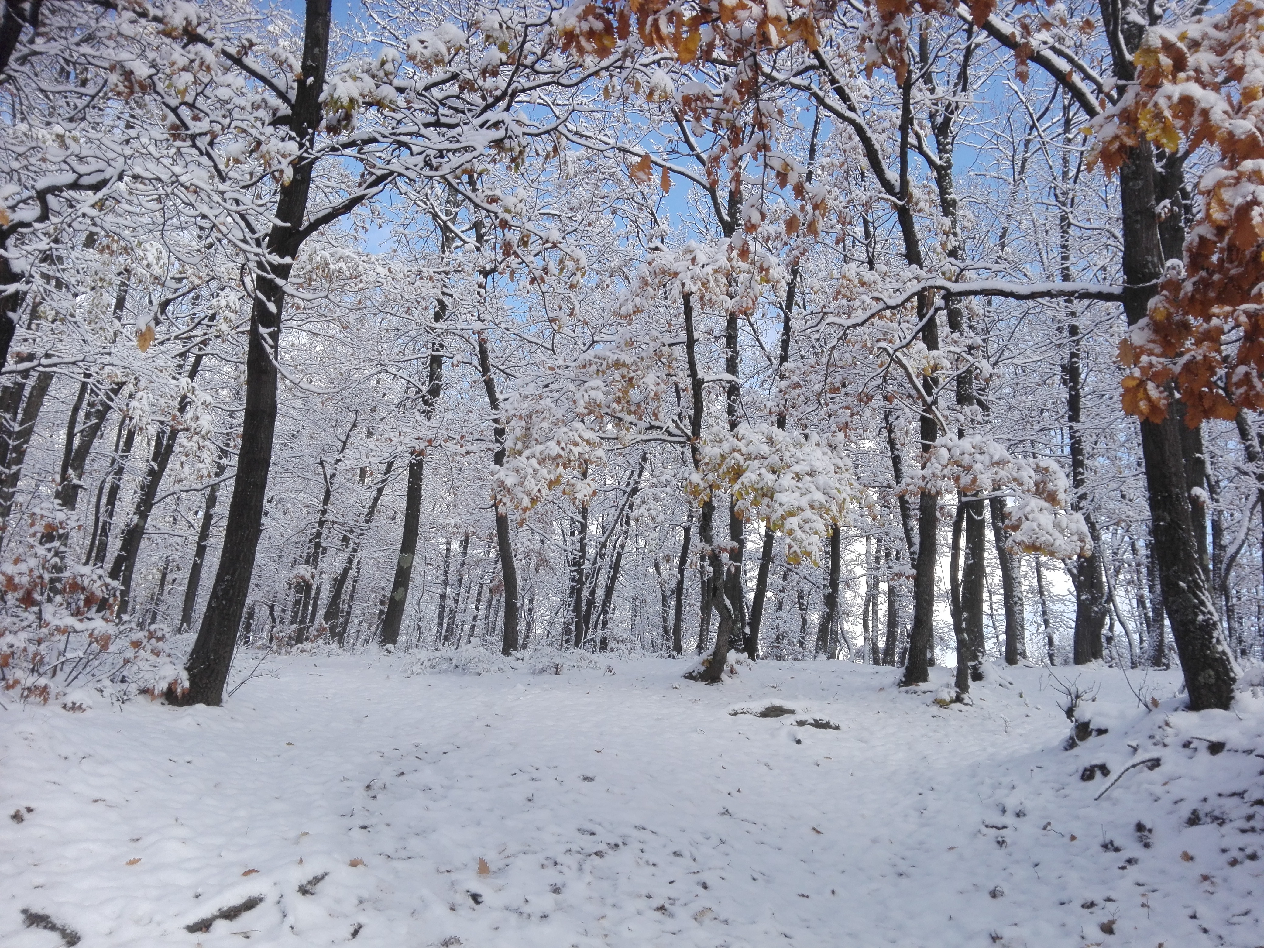 Azi despre ieri – 26 decembrie 2018