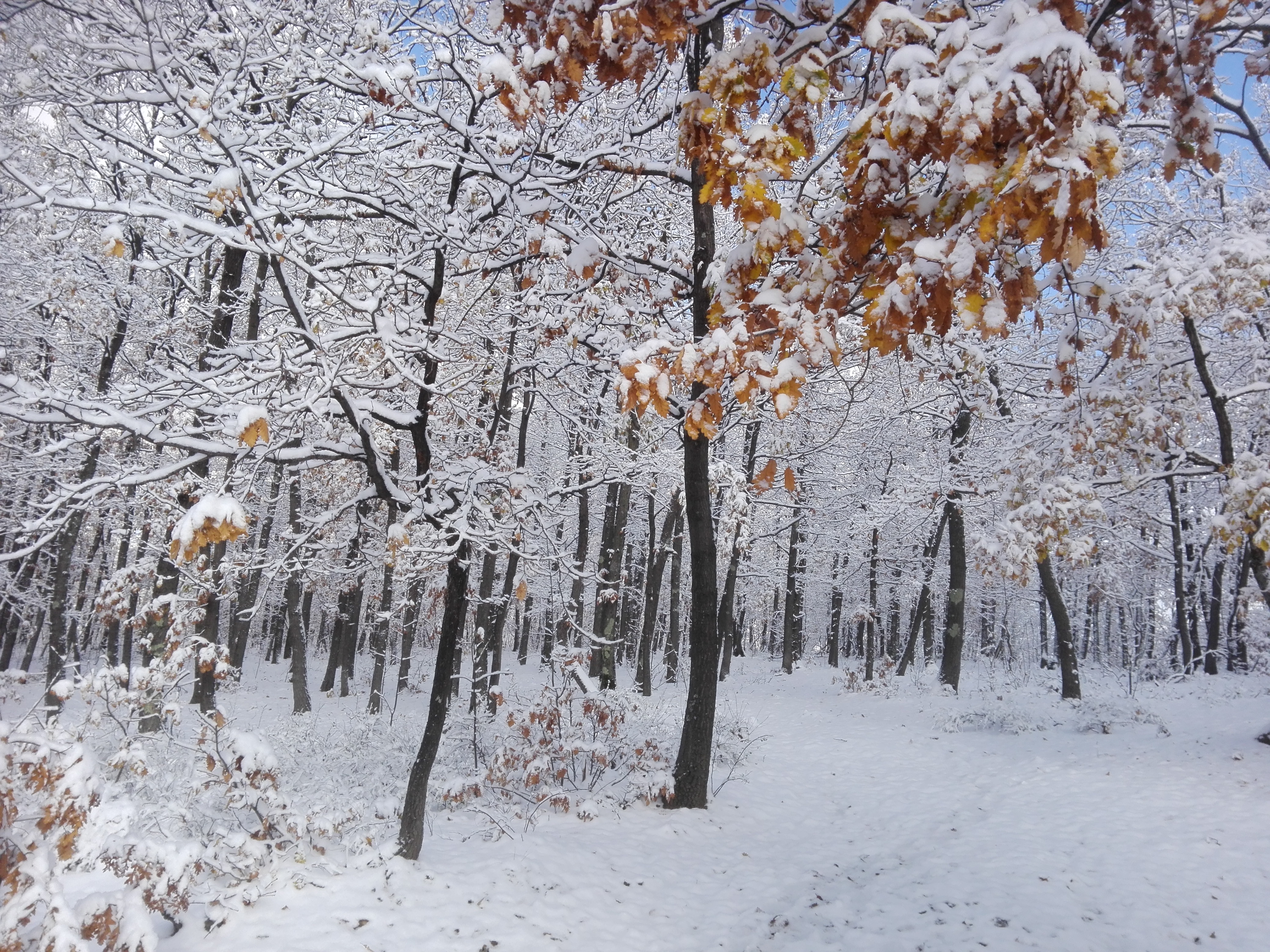 Azi despre ieri – 20 decembrie 2018