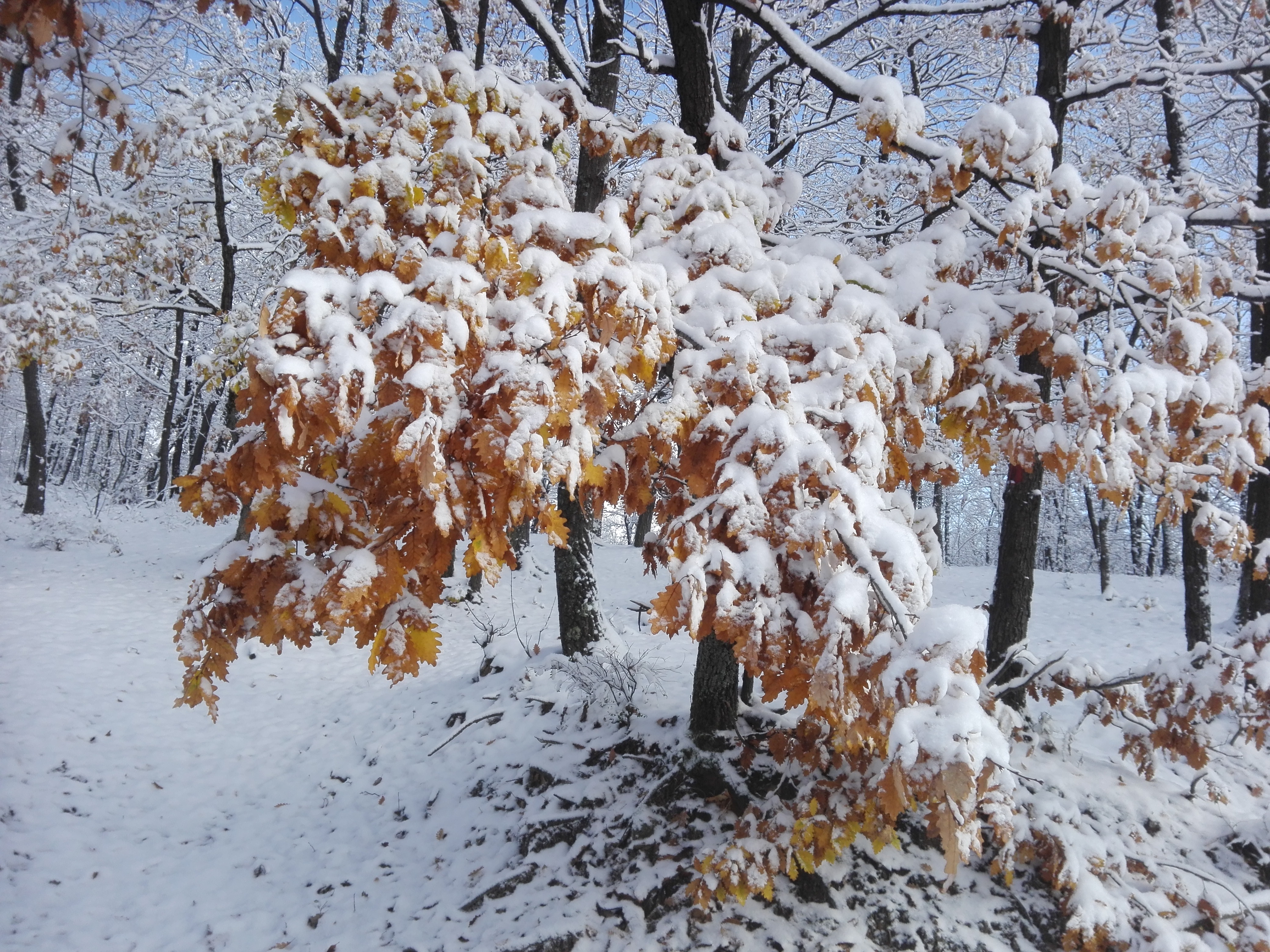 Azi despre ieri – 10 decembrie 2018