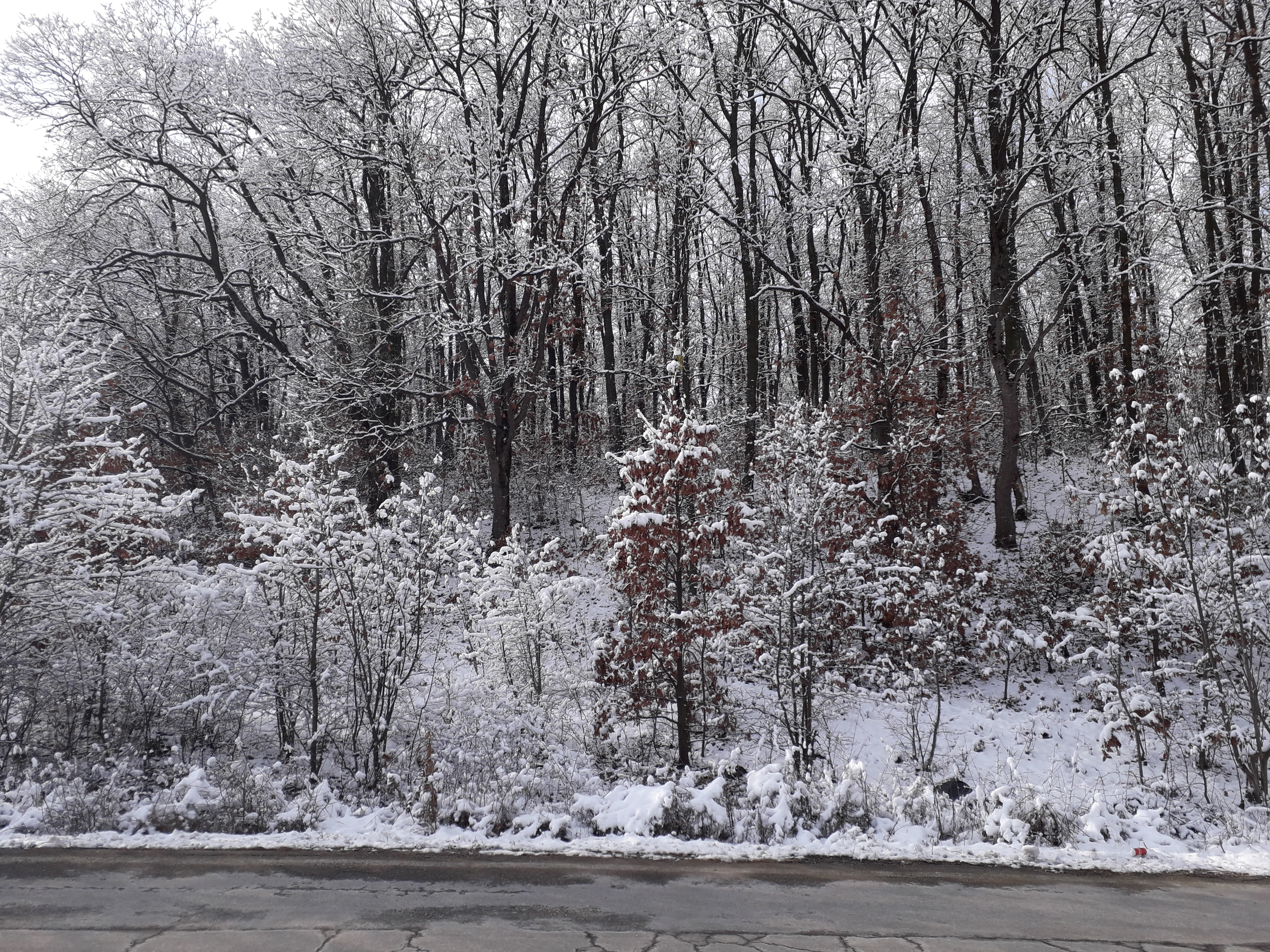 Azi despre ieri – 2 ianuarie 2019