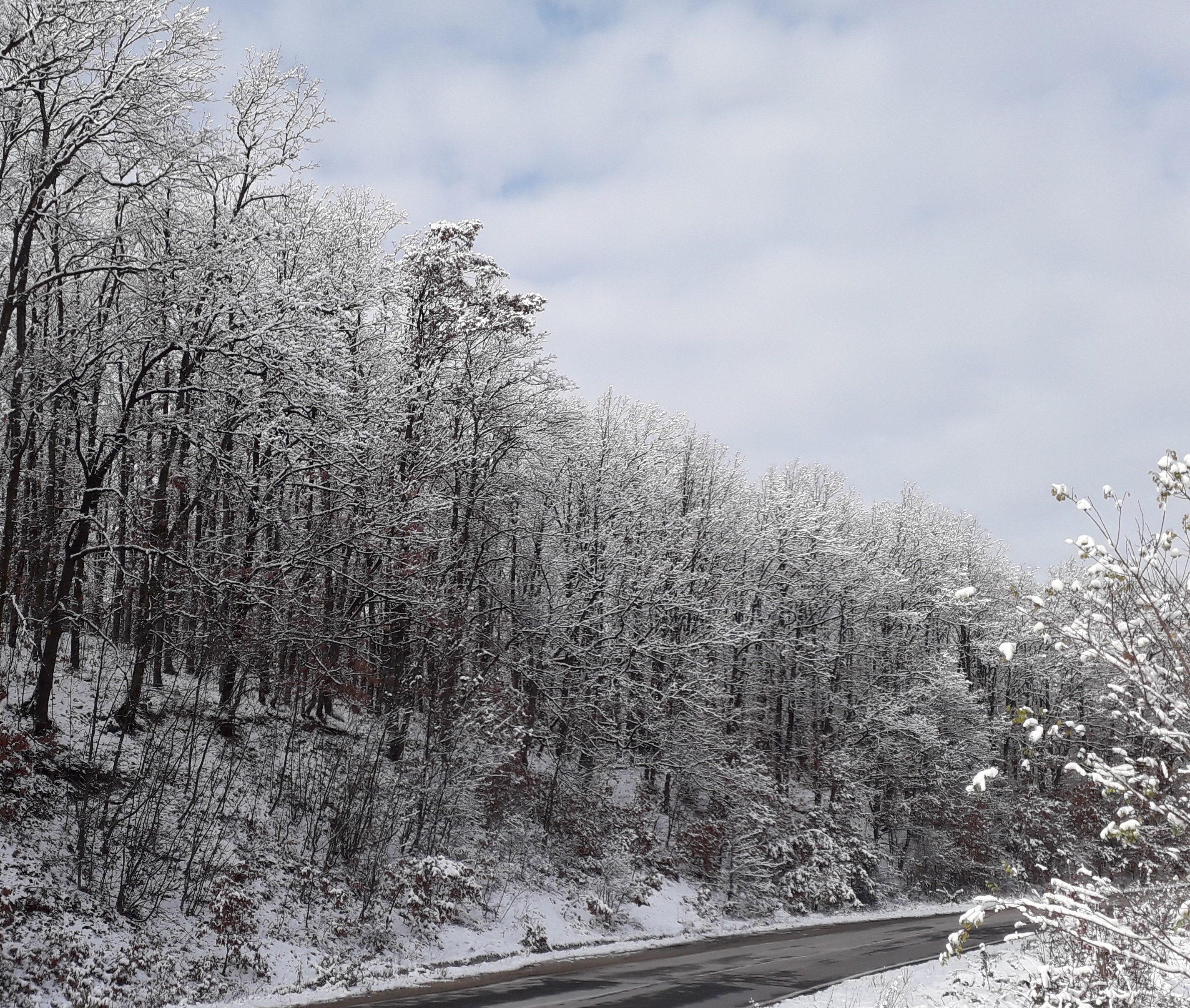 Azi despre ieri – 4 ianuarie 2019