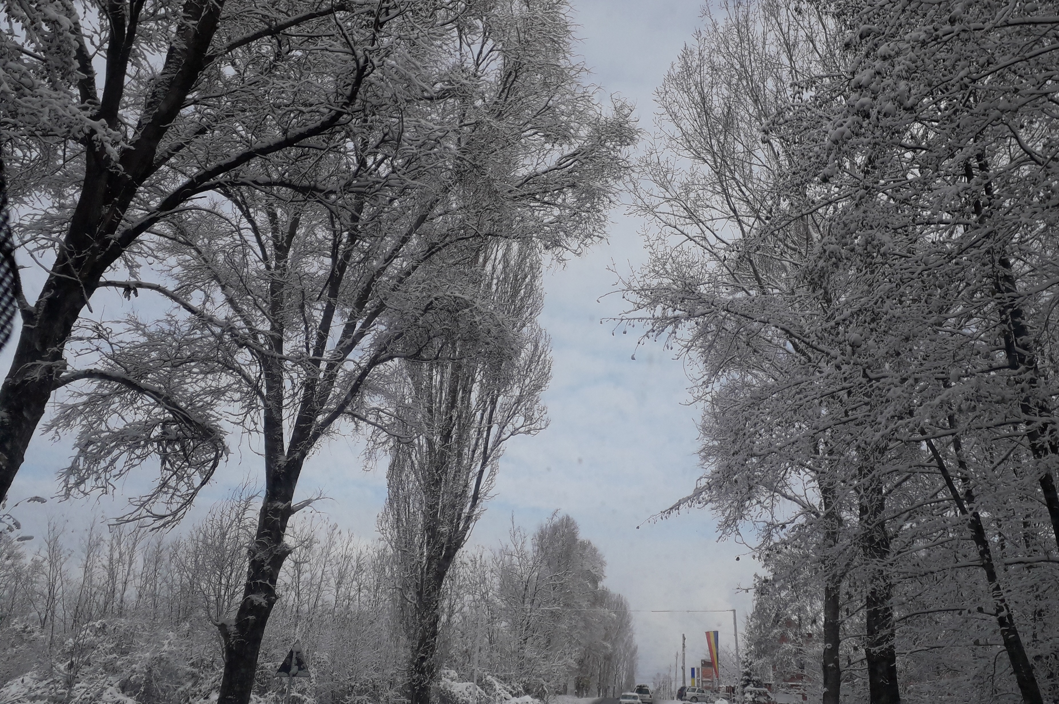 Azi despre ieri – 8 ianuarie 2019