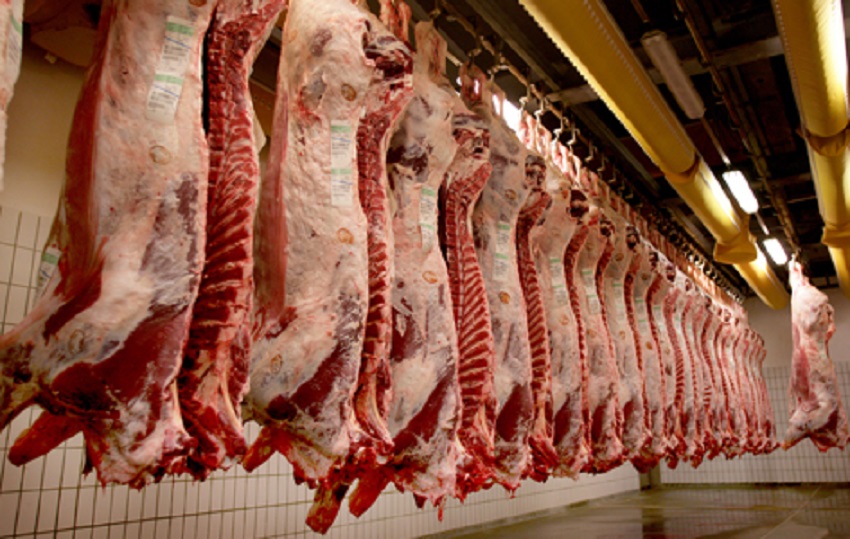 Inspecţie europeană în Polonia în cazul comercializării de carne de vită bolnavă 