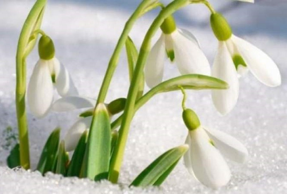 Vremea în ultima lună de iarnă