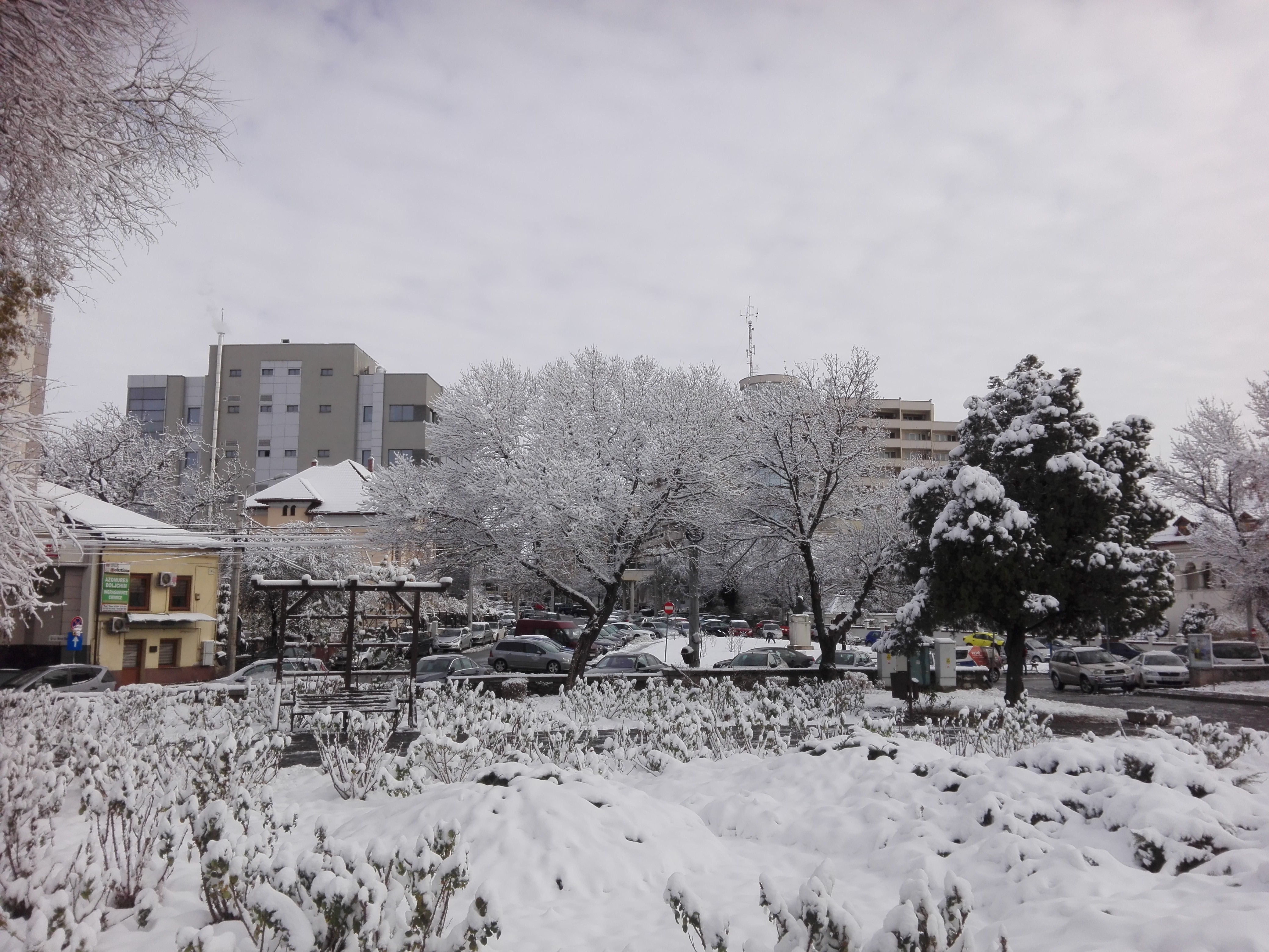 Azi despre ieri – 13 ianuarie 2019