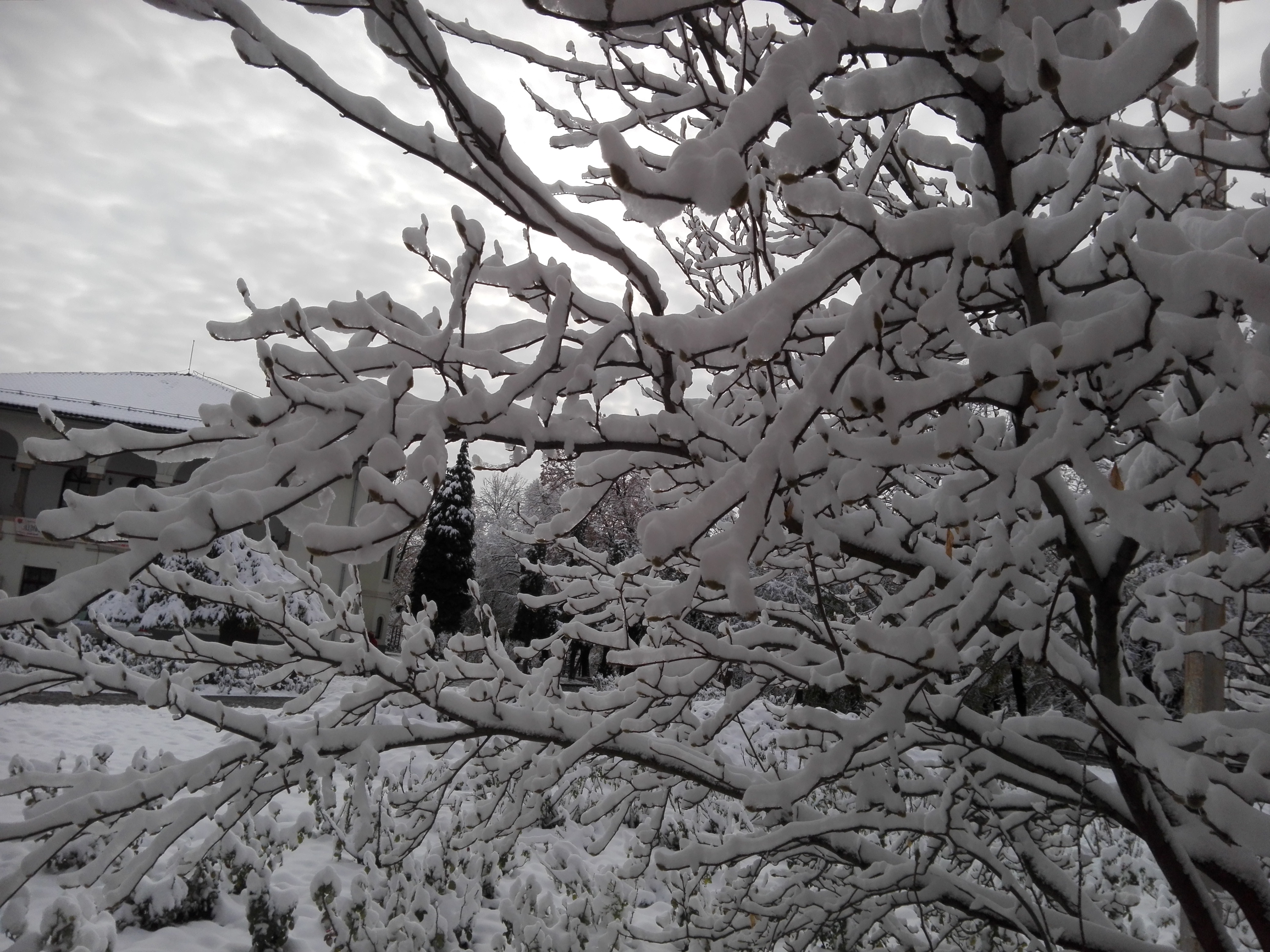 ANM: Vremea în perioada 7 ianuarie – 4 februarie