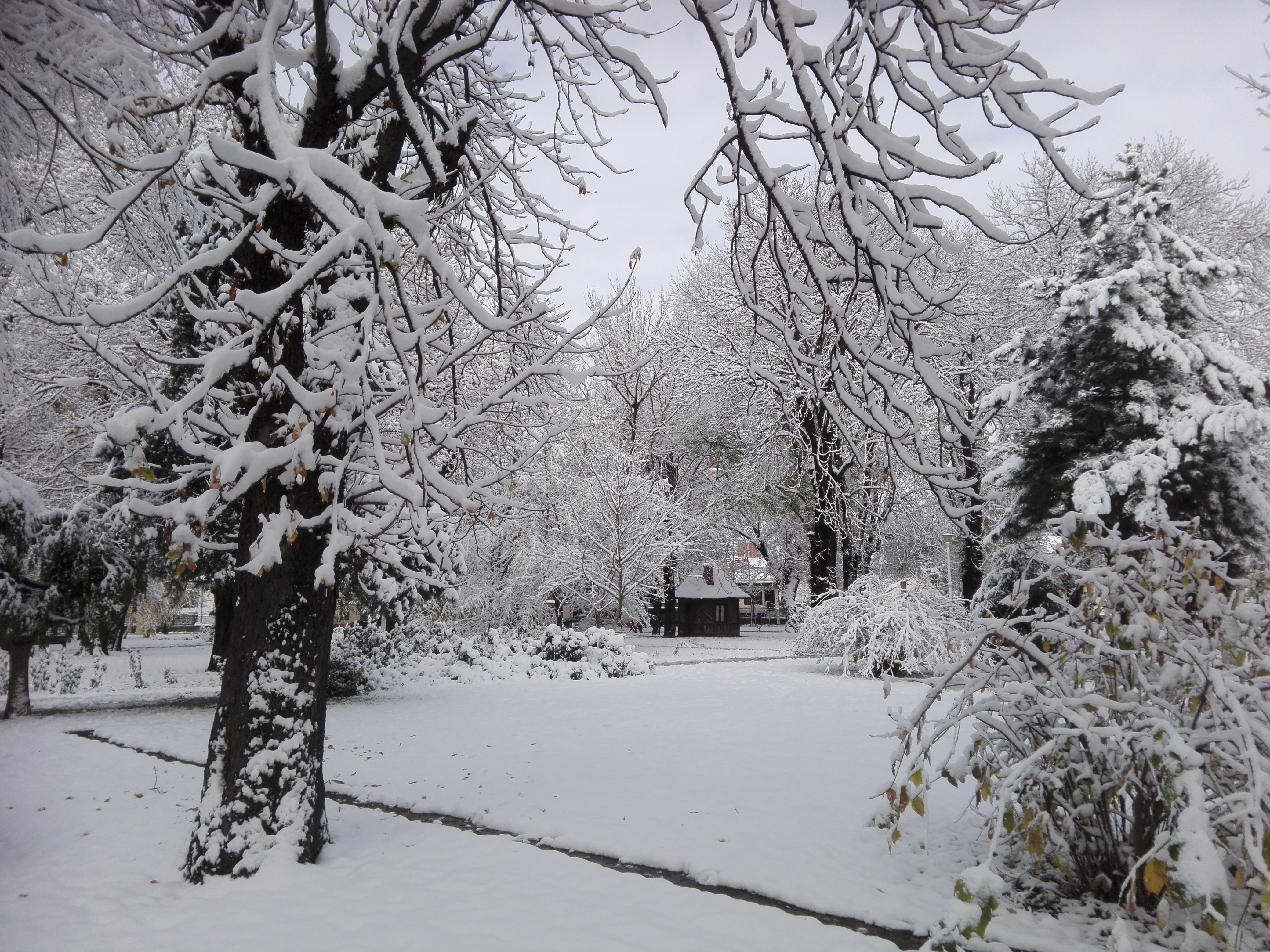 Azi despre ieri – 11 ianuarie 2019