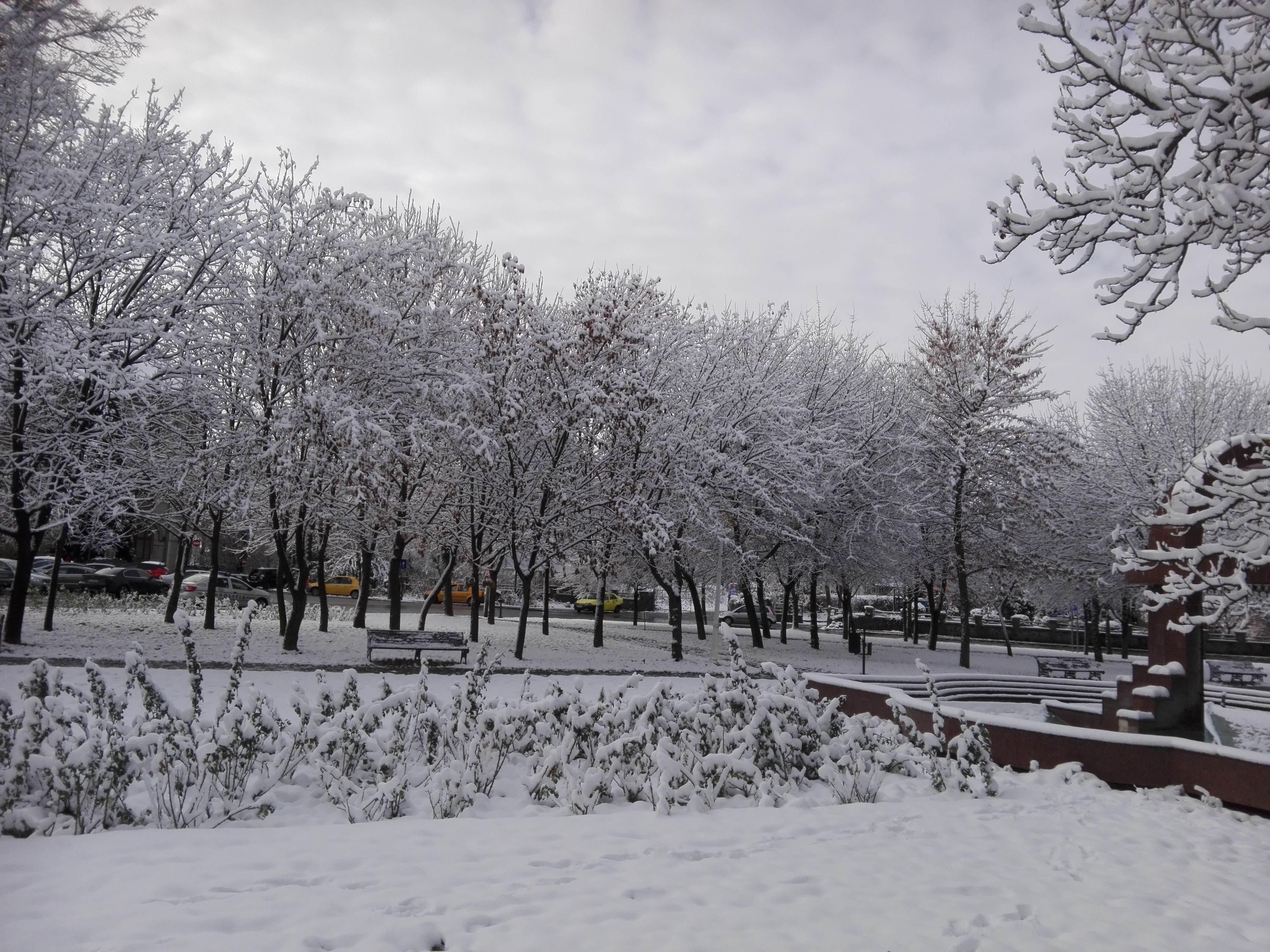 Azi despre ieri – 17 ianuarie 2019