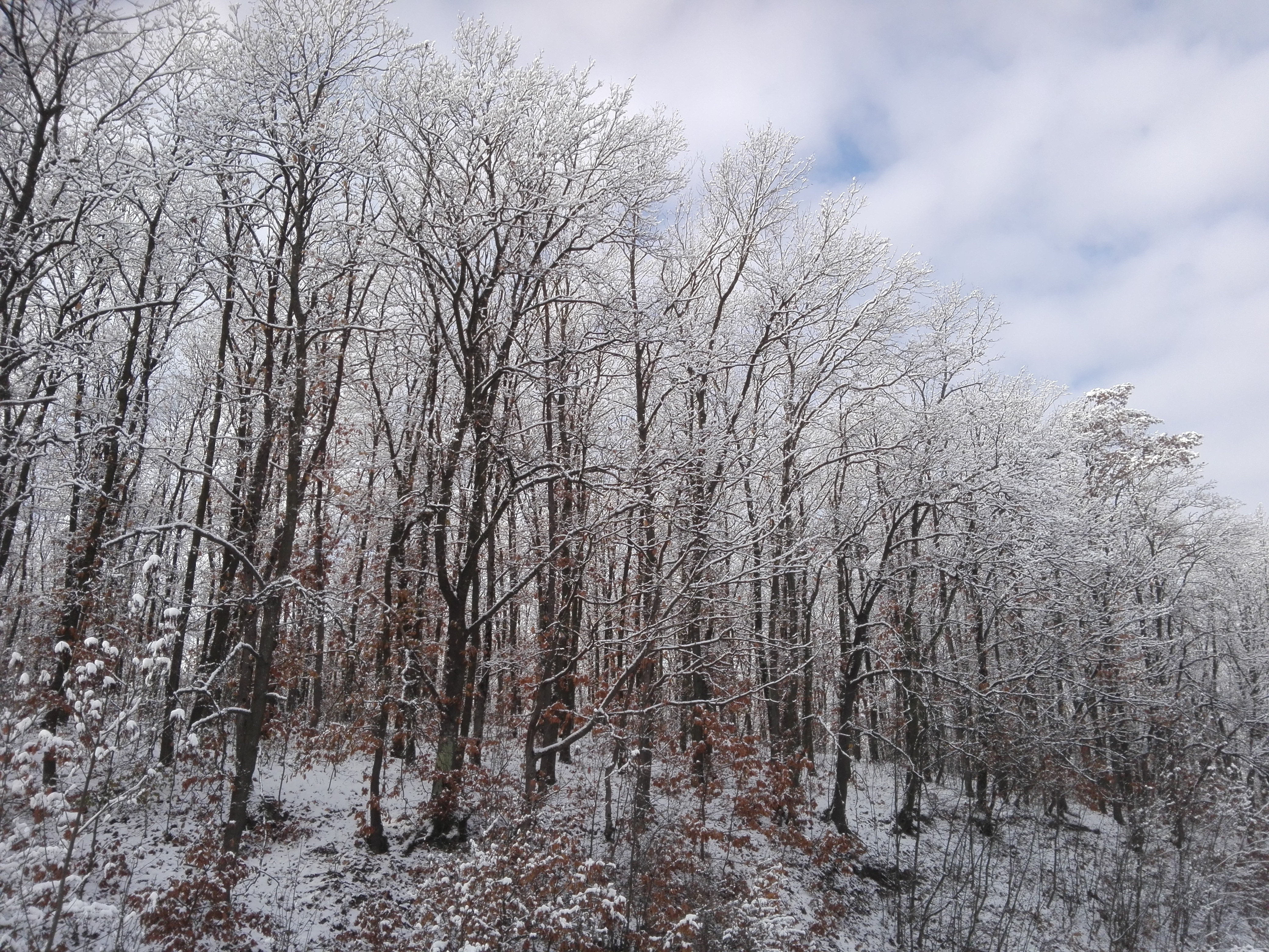 Azi despre ieri – 19 ianuarie 2019