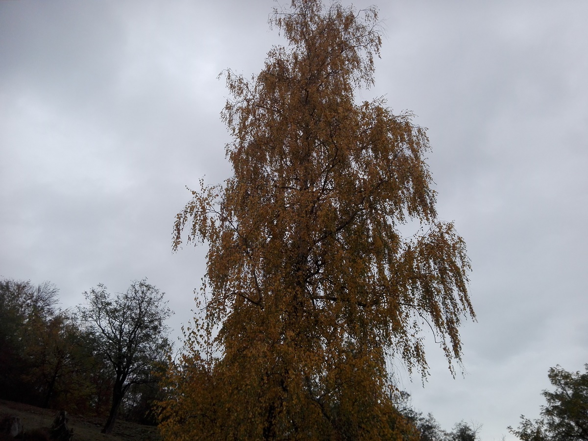 Azi despre ieri – 25 ianuarie 2019