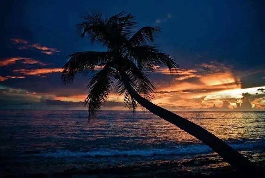 Consiliul Concurenţei a sancţionat 13 agenţii de turism şi ANAT (audio)