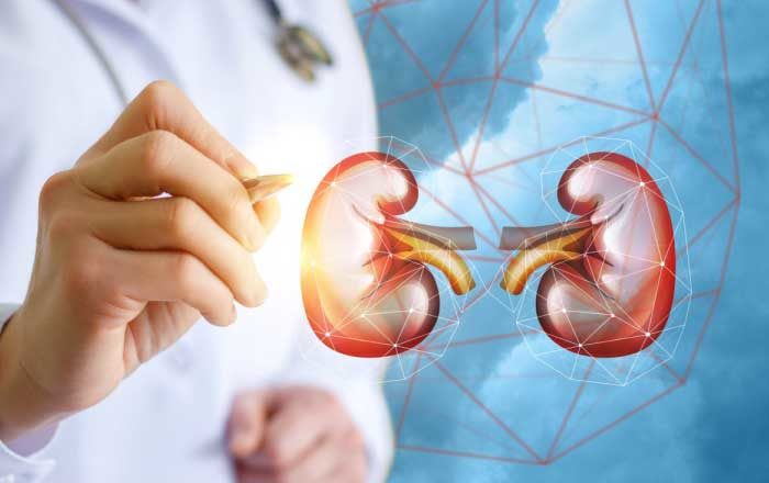 Propunere de creare a unui registru al pacienţilor cu boală cronică de rinichi