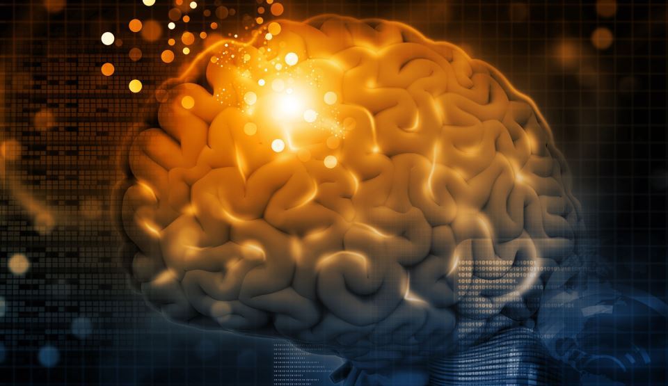 Un nou tip de neuron, virusul care dă conşiinţa şi alte descoperiri uimitoare pe care le-am aflat despre creier în 2018