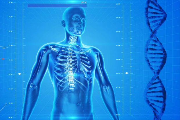 Descoperire neașteptată despre corpul uman. Ce au observat cercetătorii în interiorul oaselor